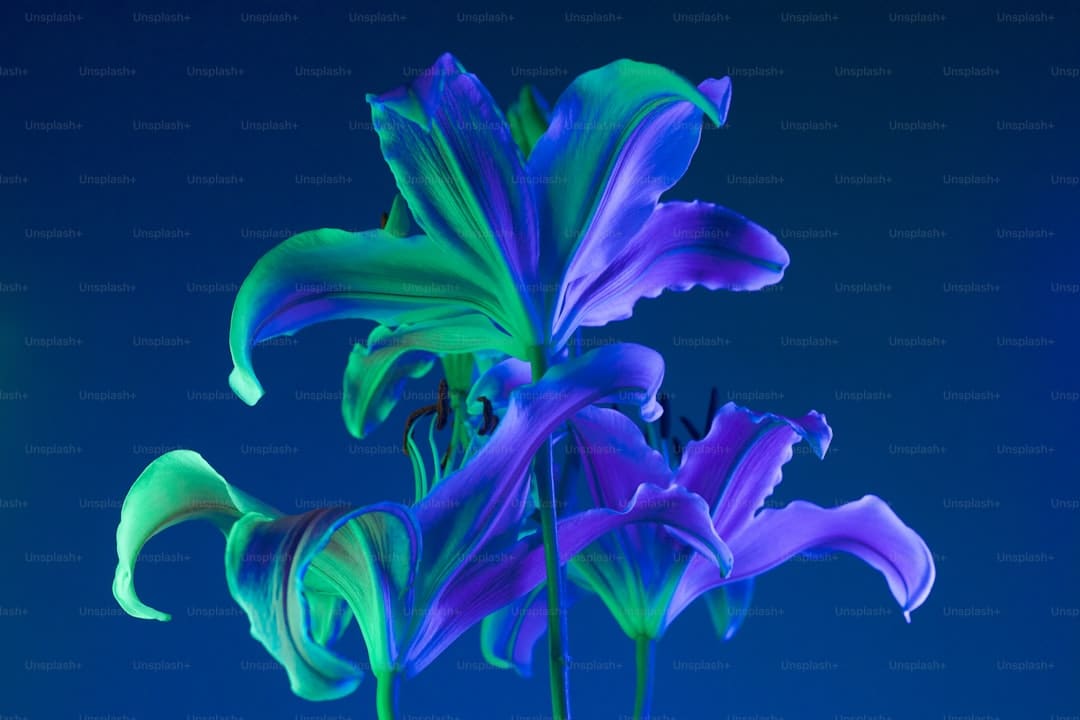 http://n.sinaimg.cn/front/w690h634/20180311/Y5Y2-fxpwyhw9957824.jpg?zdy